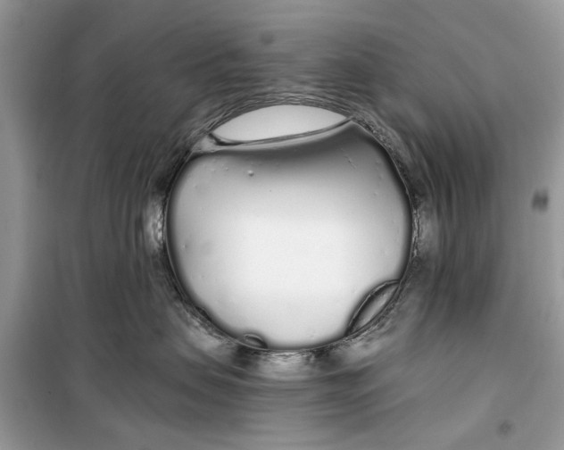 X0000099300479200805231346