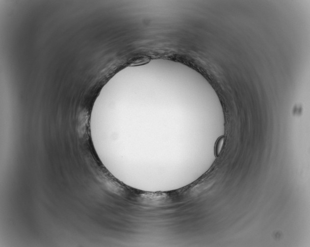 X0000099300480200805231346