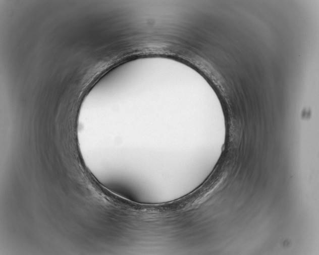 X0000099300481200805231345