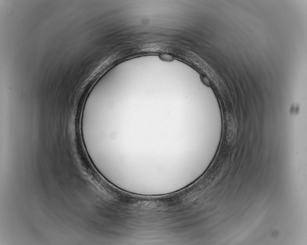 X0000099300482200805231345