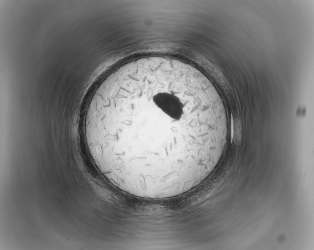 X0000099300483200805231345