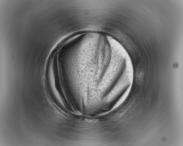 X0000099300484200805231345