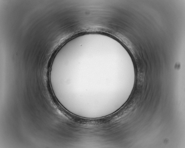 X0000099300485200805231345