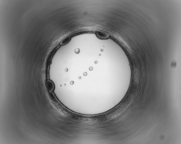 X0000099300486200805231345