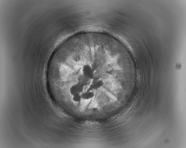 X0000099300487200805231345