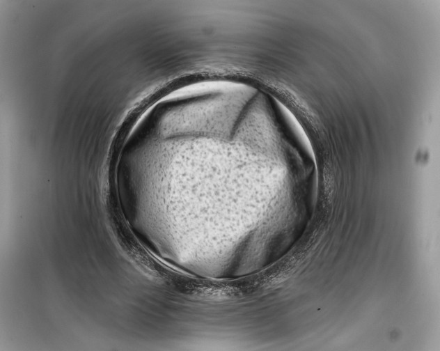 X0000099300488200805231345