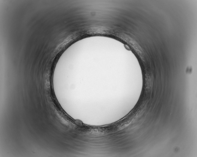 X0000099300489200805231345