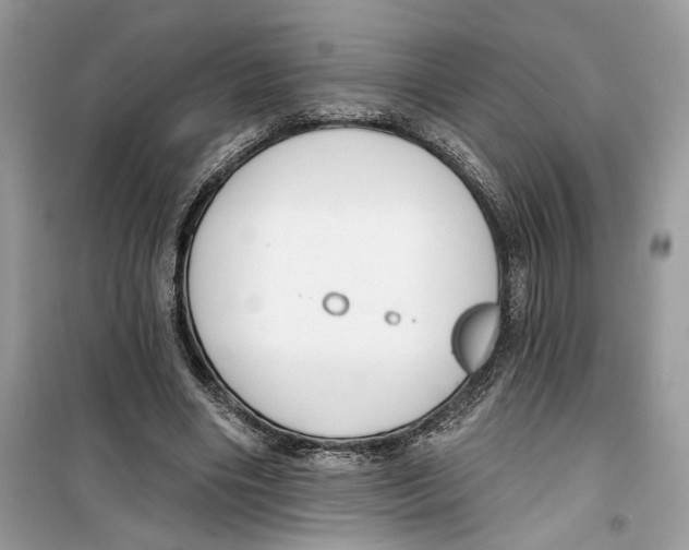 X0000099300490200805231345