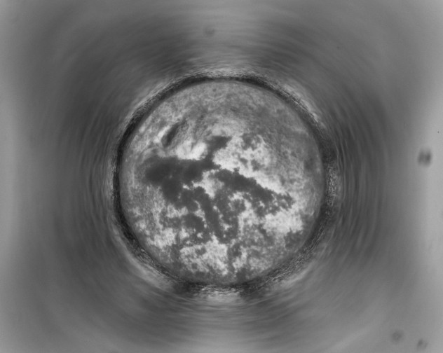 X0000099300491200805231345