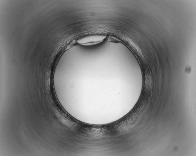 X0000099300493200805231345