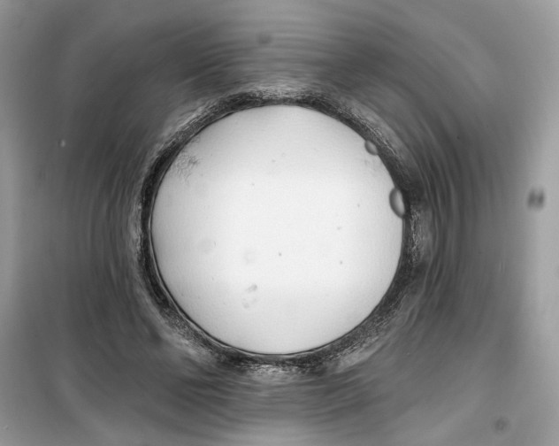 X0000099300494200805231345