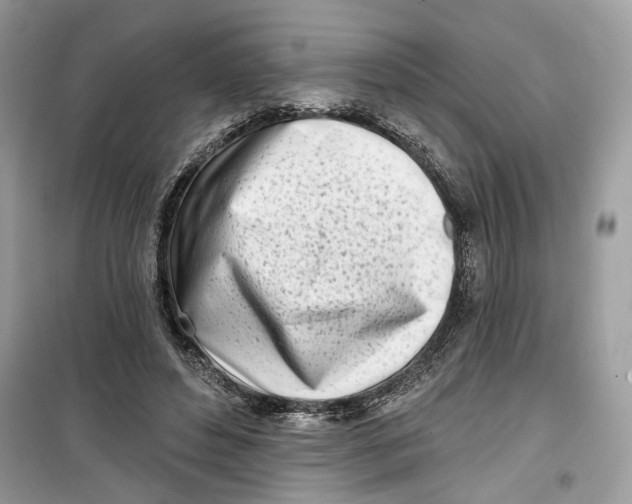 X0000099300496200805231345