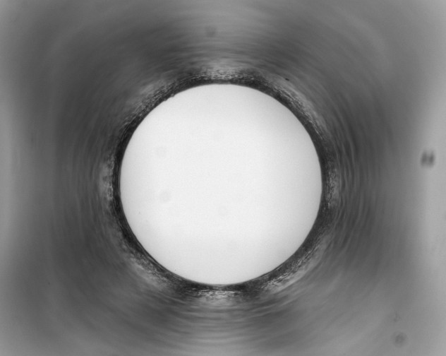 X0000099300497200805231345