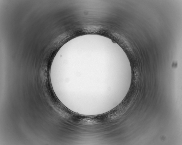 X0000099300498200805231345