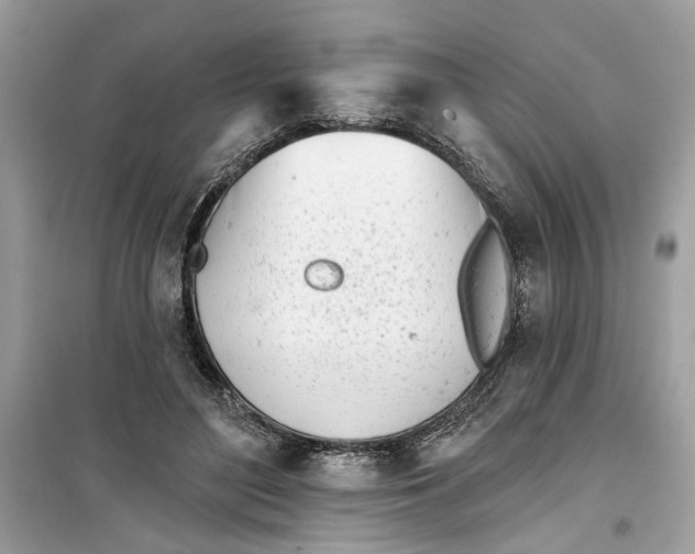 X0000099300500200805231345