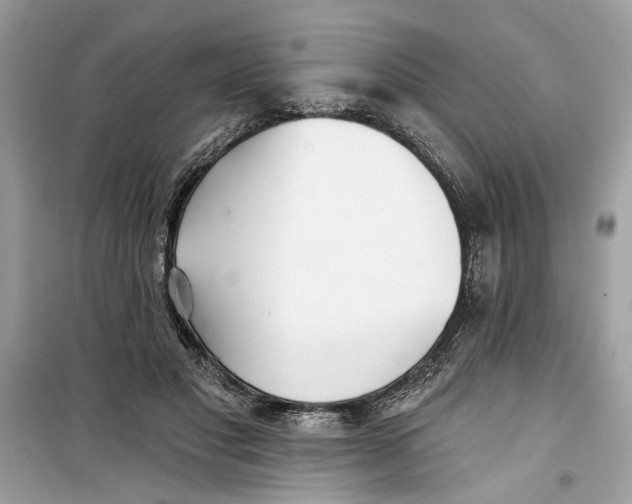 X0000099300501200805231345