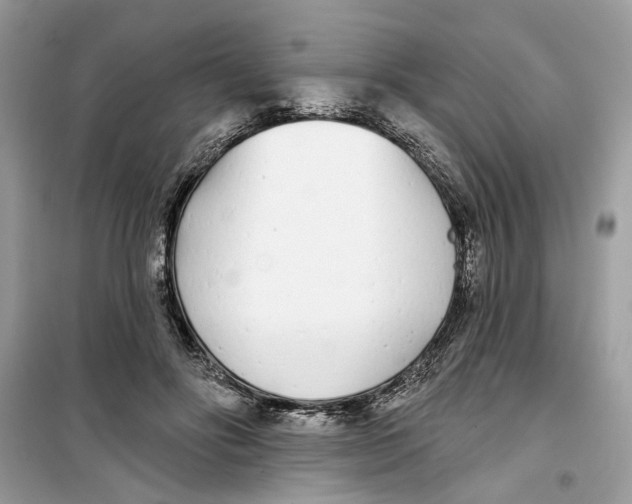 X0000099300502200805231345