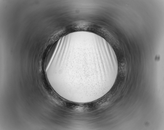 X0000099300504200805231345