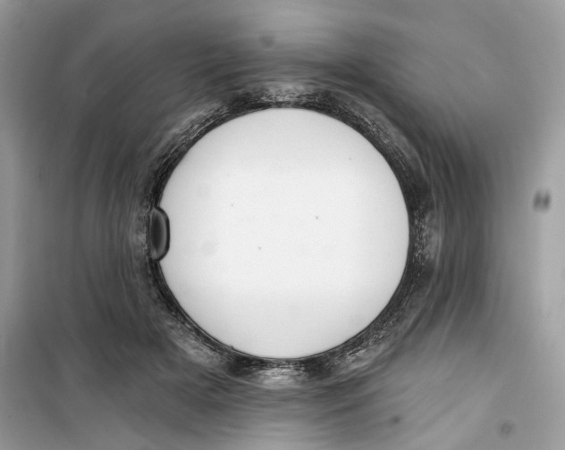 X0000099300505200805231345