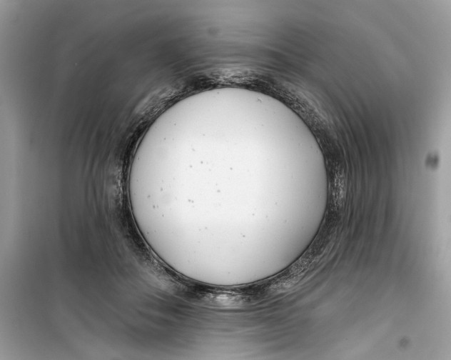 X0000099300506200805231345