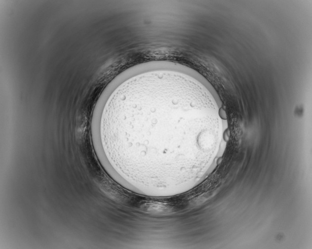 X0000099300507200805231345