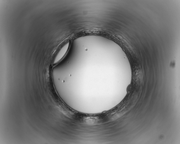 X0000099300508200805231345