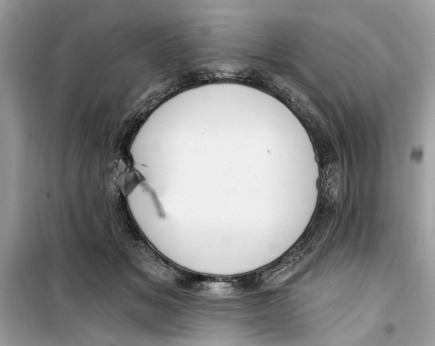 X0000099300509200805231345