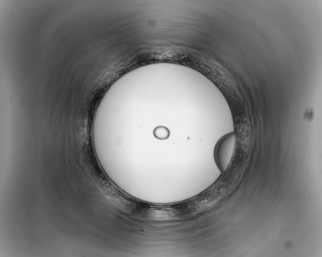 X0000099300510200805231345