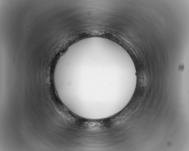 X0000099300512200805231345