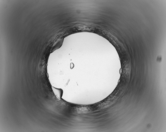 X0000099300513200805231345