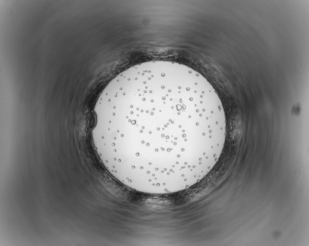 X0000099300515200805231345