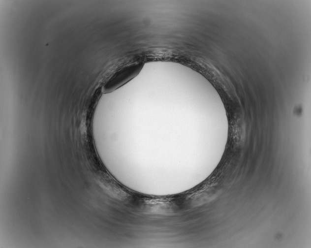 X0000099300516200805231345