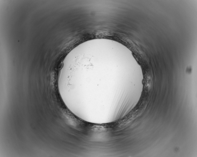 X0000099300519200805231345