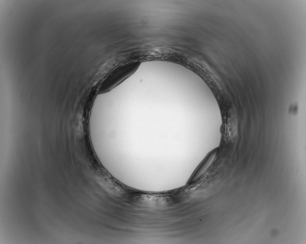 X0000099300520200805231345