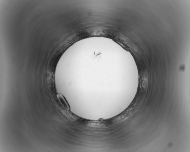 X0000099300521200805231345