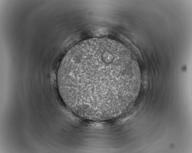 X0000099300523200805231345