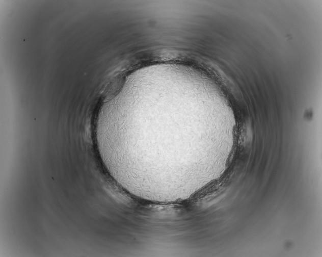 X0000099300524200805231345