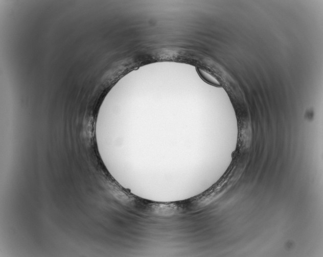 X0000099300525200805231345