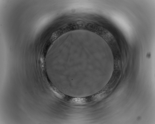 X0000099300526200805231345