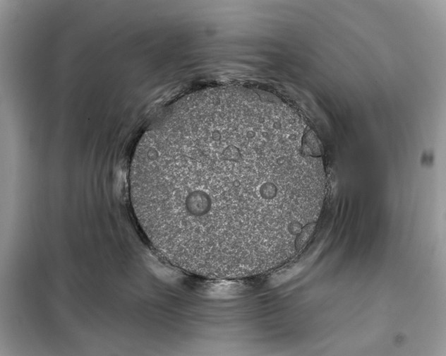 X0000099300527200805231345