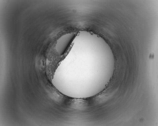 X0000099300528200805231345