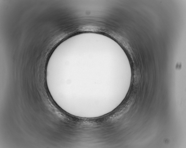 X0000099300529200805231344