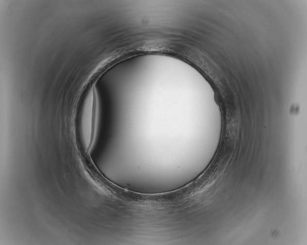 X0000099300530200805231344