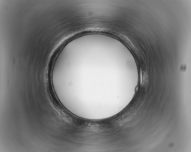 X0000099300531200805231344