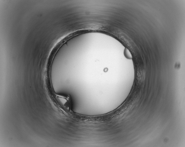 X0000099300532200805231344