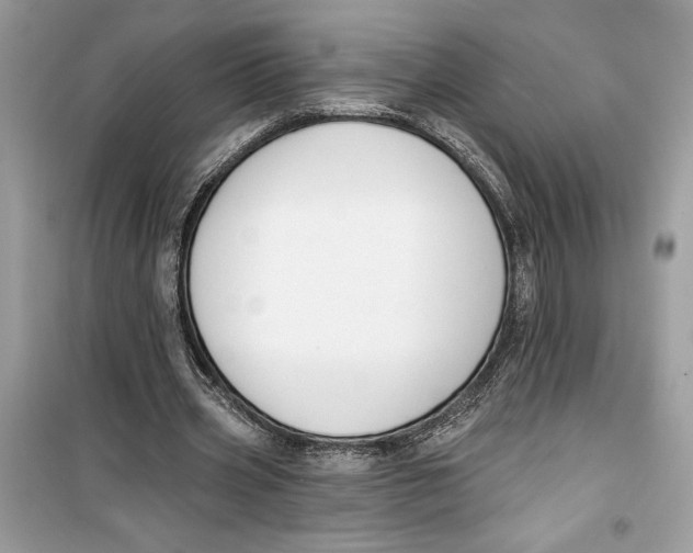 X0000099300533200805231344