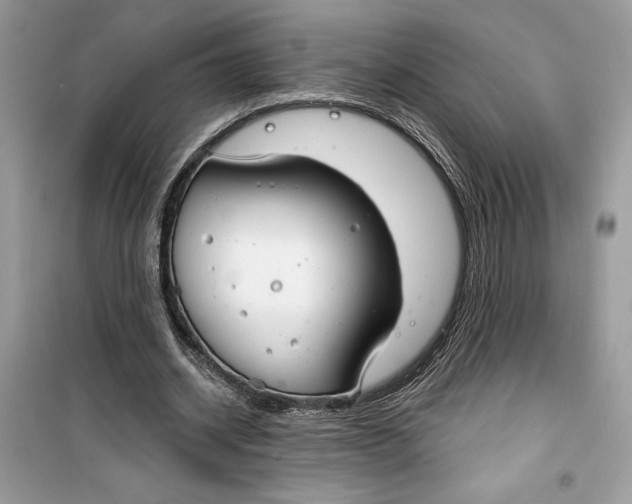 X0000099300534200805231344