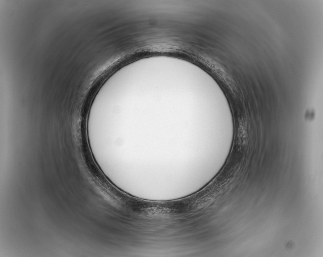 X0000099300535200805231344