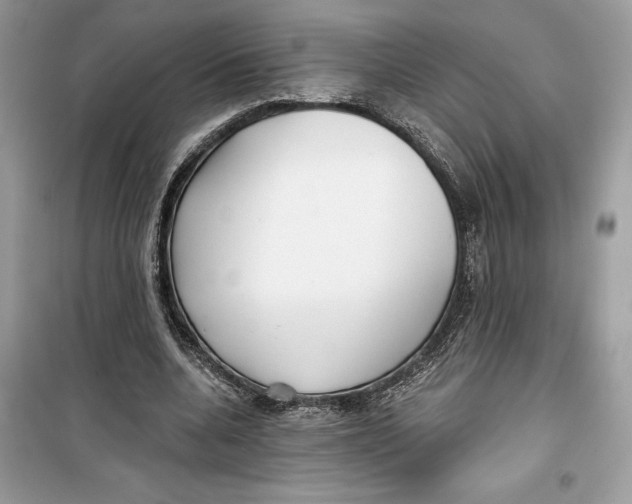 X0000099300536200805231344