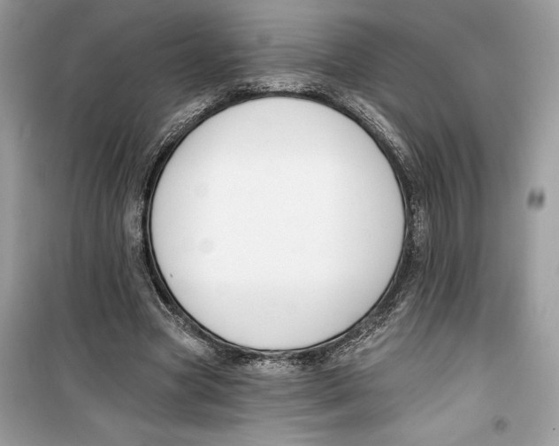 X0000099300537200805231344